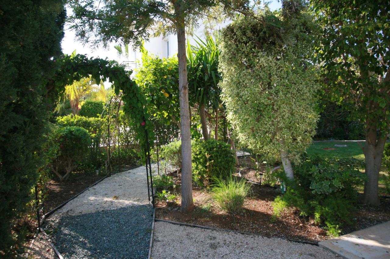 Beach Villa Sofia Neo Chorio Extérieur photo