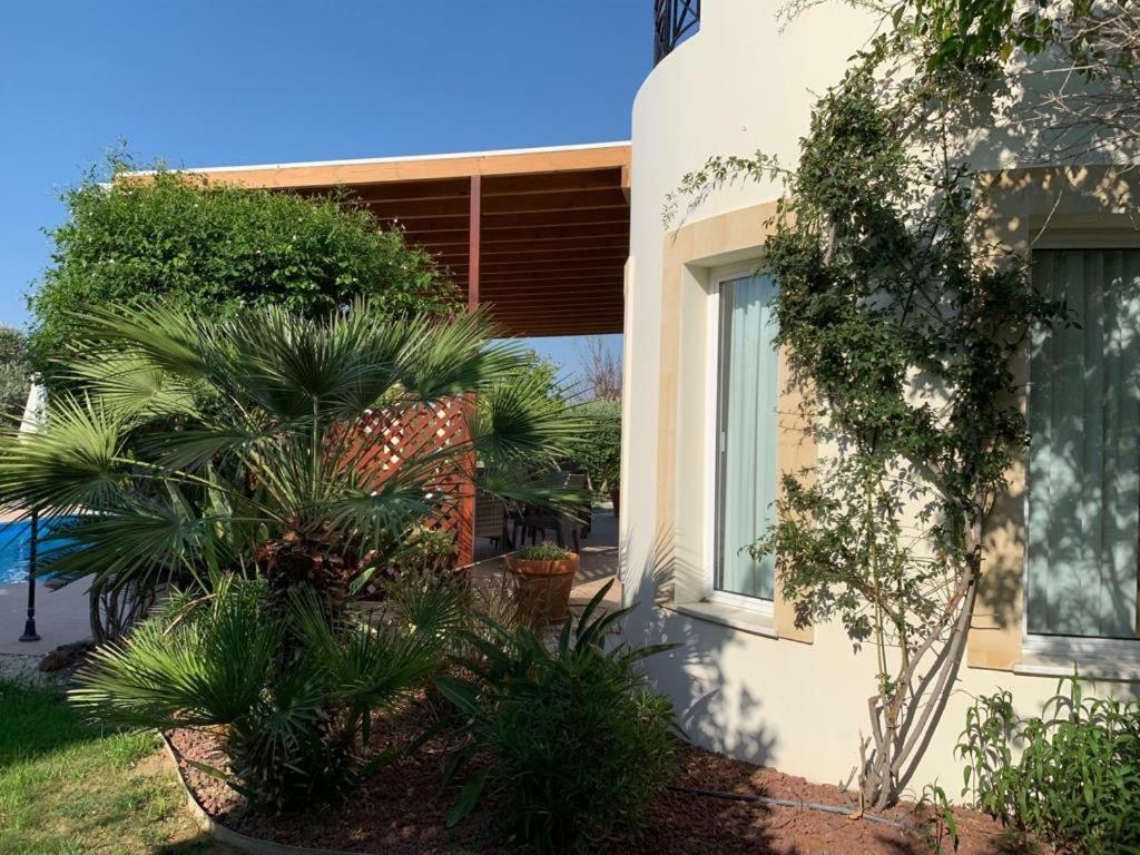 Beach Villa Sofia Neo Chorio Extérieur photo